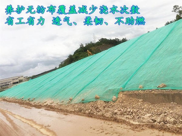 宣城掛網(wǎng)噴播草籽噴土機
